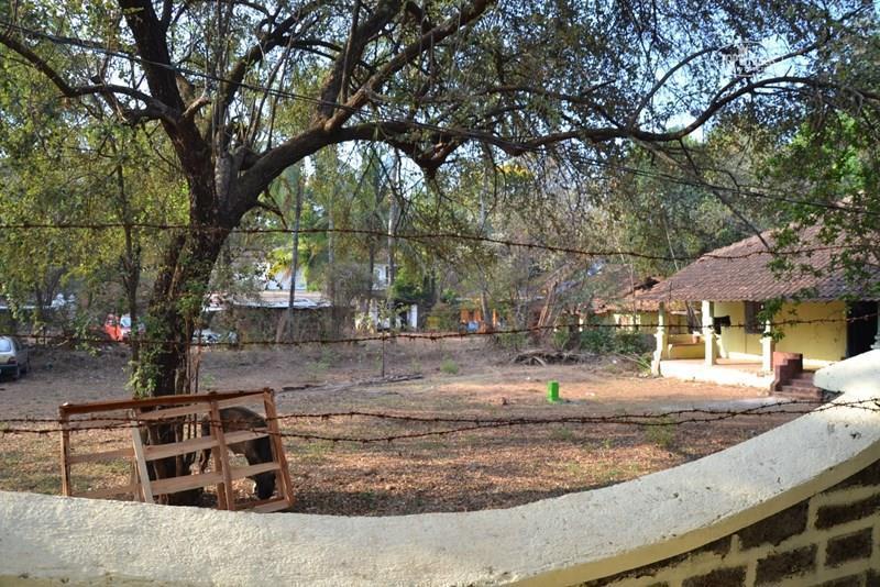 Фотографія Jitu Guest House 1*