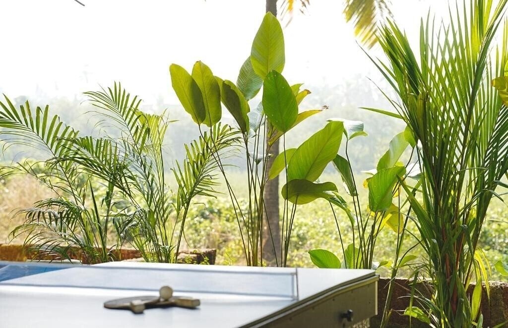 Апартаменты North 39 3*