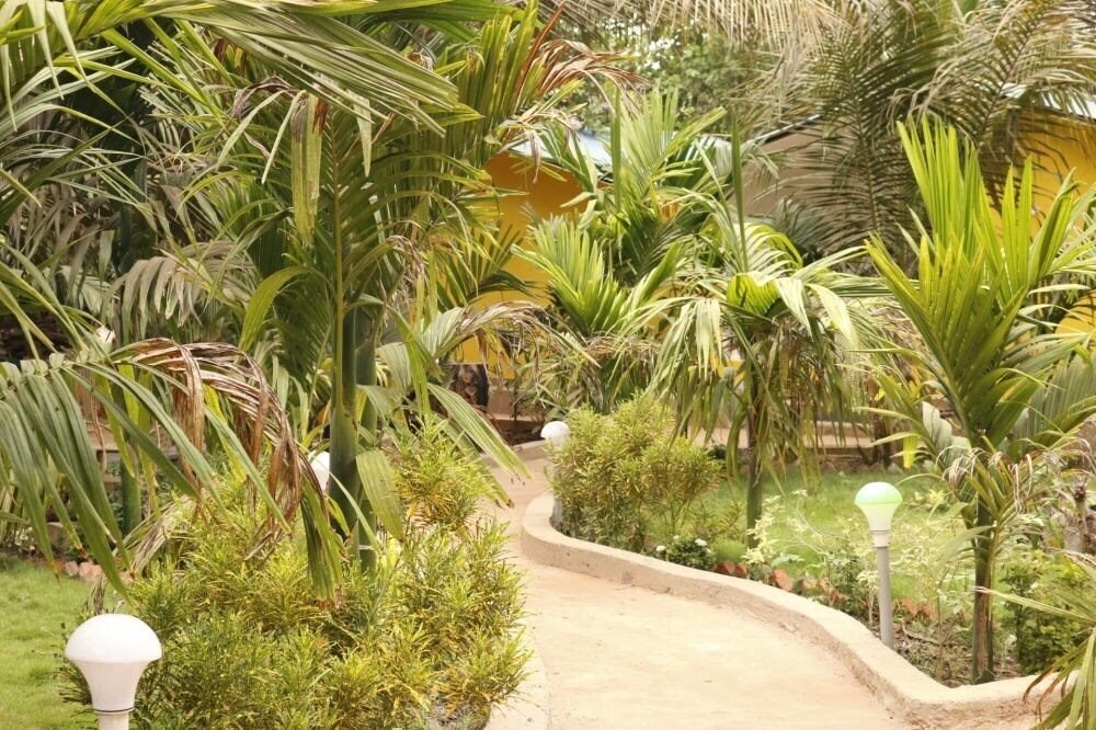 Панорама Lavish Exotic Hotel & Apartment (ex. Lavish Cottages Guest House, Lavish Exotic Hotel & SPA) 2*