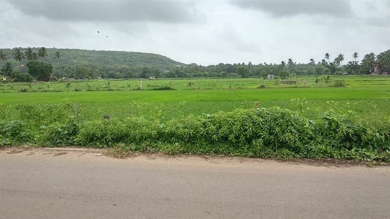 Фотографія Om Guest House 3*