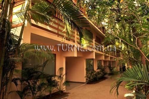 Вид The Clematis 4*