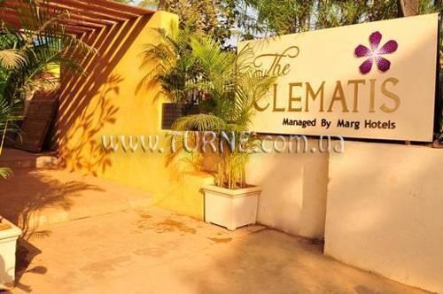 Картинка The Clematis 4*