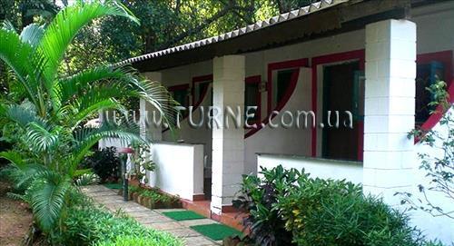 Вид Jolly Jolly Lester 2*