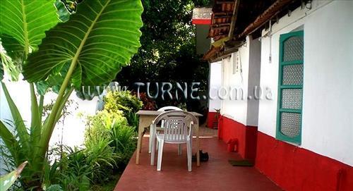 Зображення Jolly Jolly Lester 2*