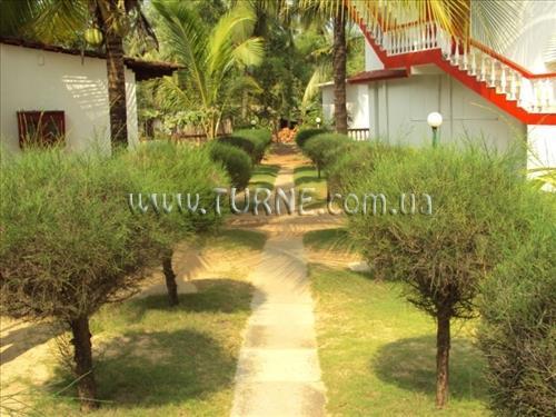 Зображення Mandrem Beach Resort 2*