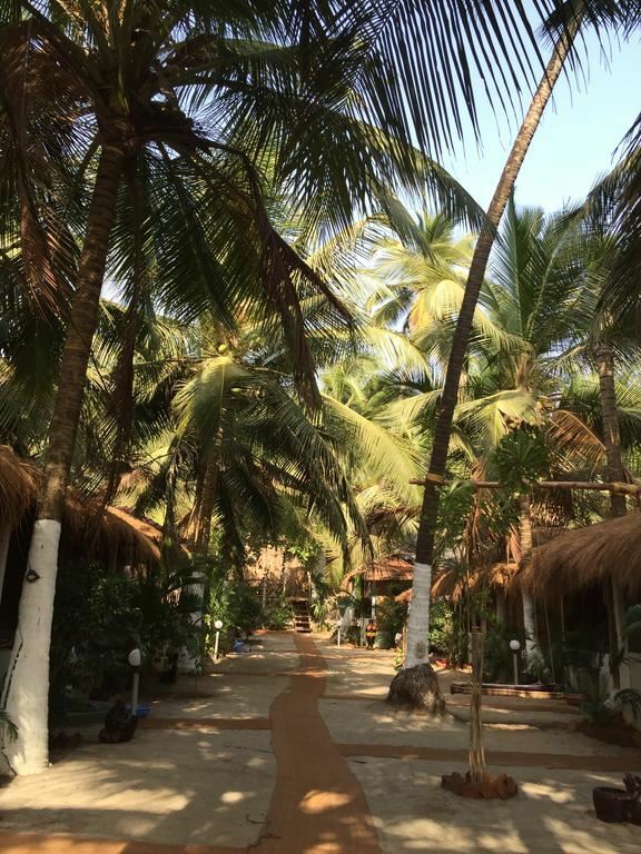 Изображение Hibis Hotels & Resorts Ashvem Goa (ex. Hidden Paradise) 3*