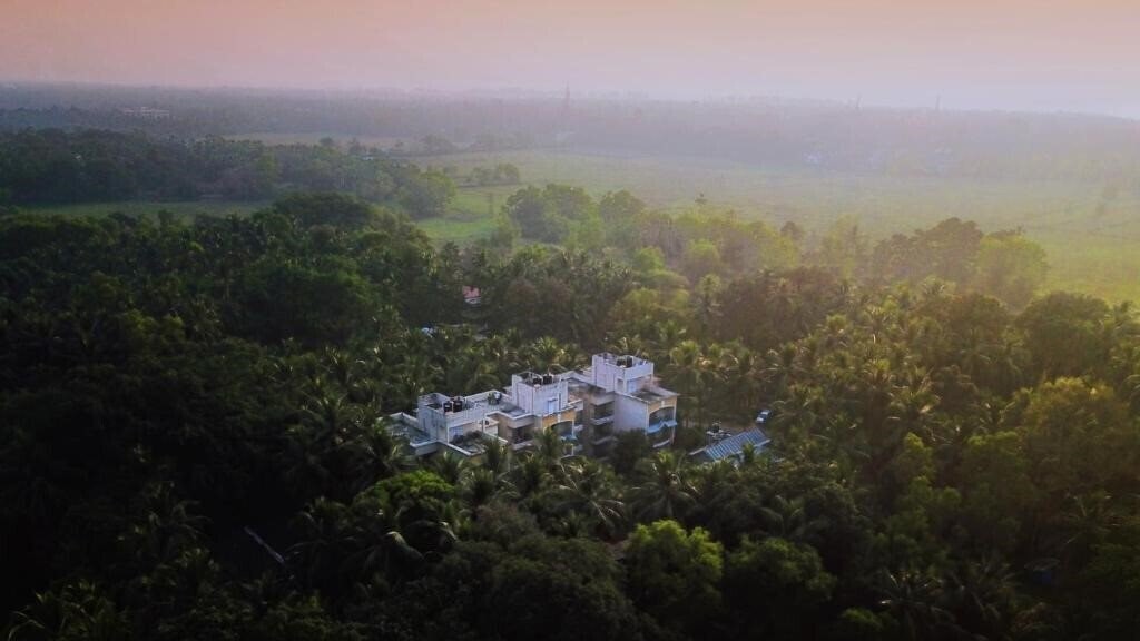 Панорама The Treehouse Blue 3*