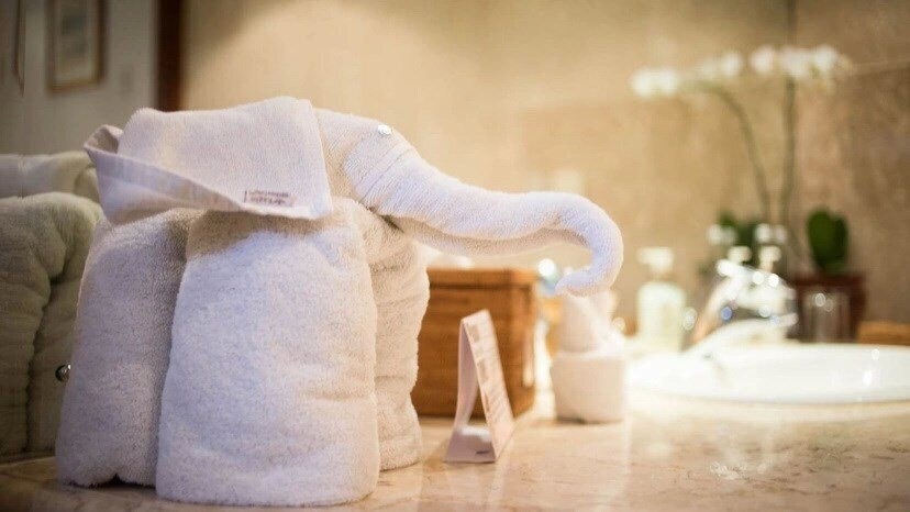 Изображение Mason Elephant Park & Lodge 5*