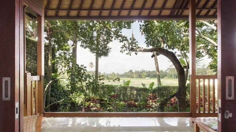 Вид Mason Elephant Park & Lodge 5*