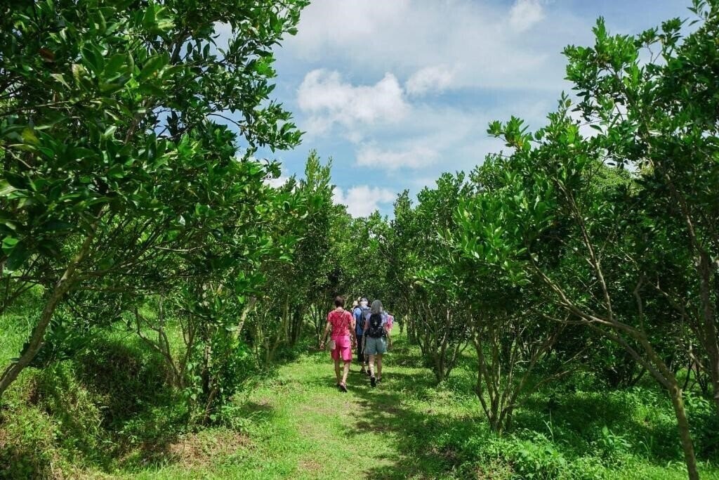 Апартаменти Bagus Agro Pelaga 3*