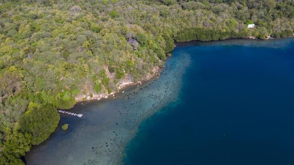 Отель Menjangan Ecolodge 3*