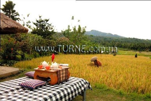 Територія Puri Bagus Manggis 3*