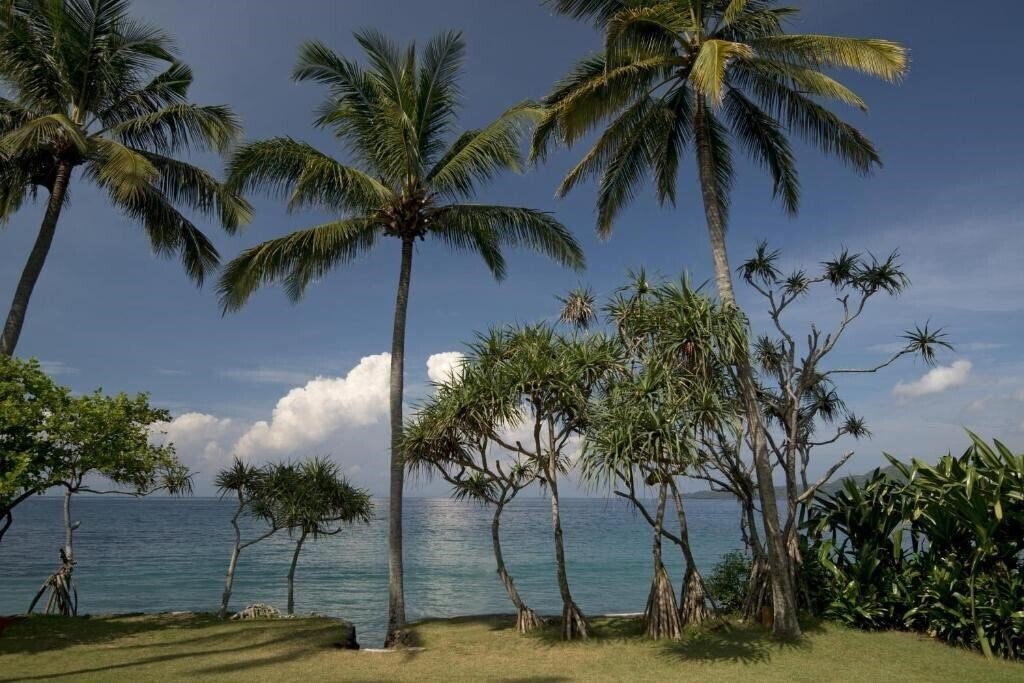 Изображение Alila Manggis 4*