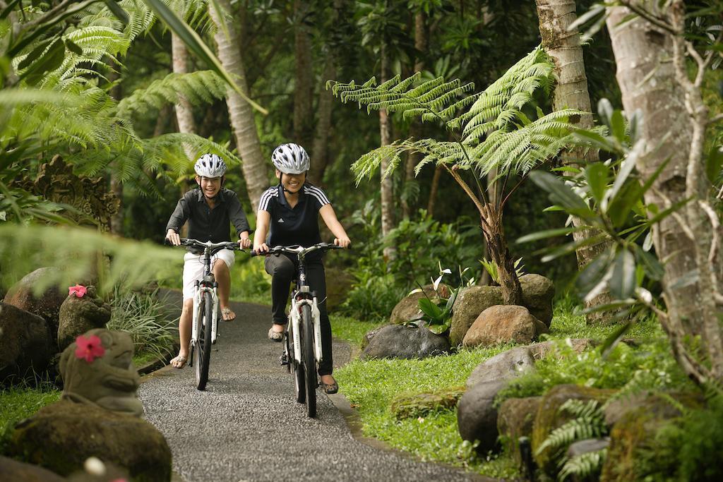 Апартаменты The Royal Pita Maha 5*