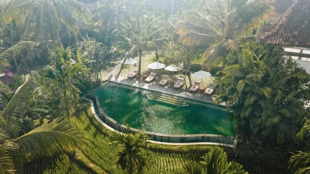 Панорама Alaya Ubud 5*
