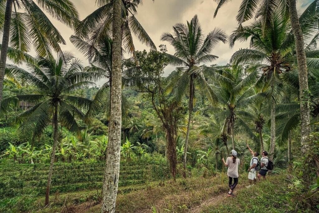 Апартаменты Four Seasons Resort (Sayan) 5*