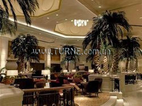 Территория Le Meridien Amman 5*