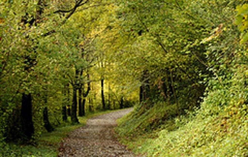 Панорама Sant Quirze De Besora 3*