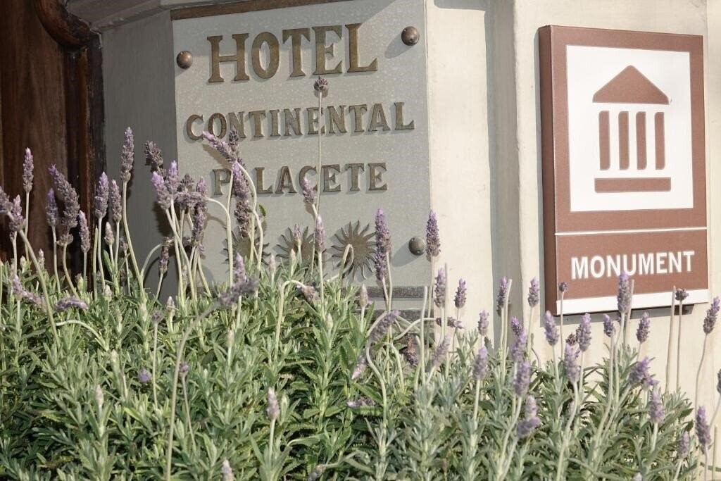 Вид Continental Palacete Hotel 3*