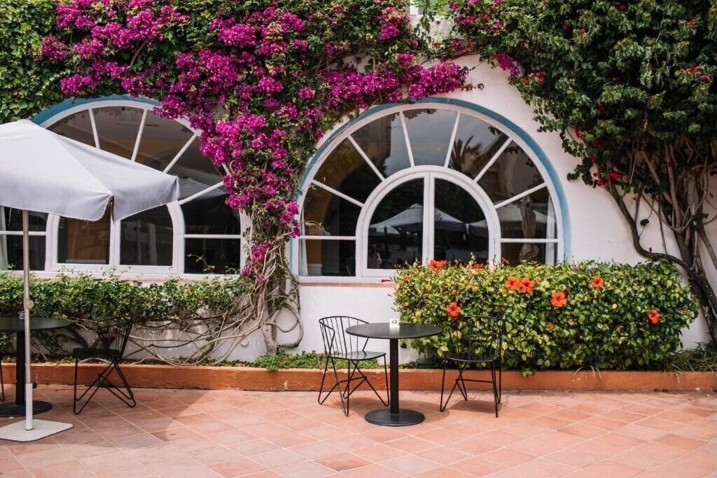 Зображення Cesar 3*