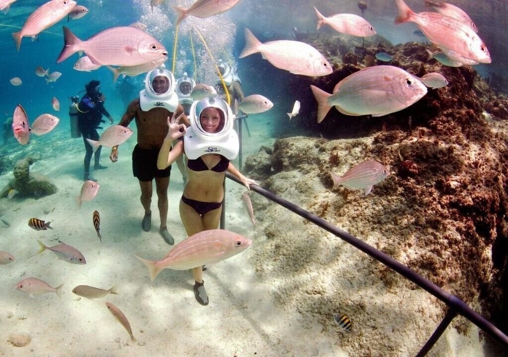 Фотография Nervion 3*