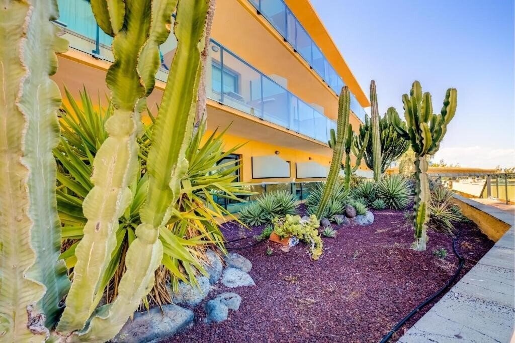 Панорама Sbh Club Paraiso Playa 4*