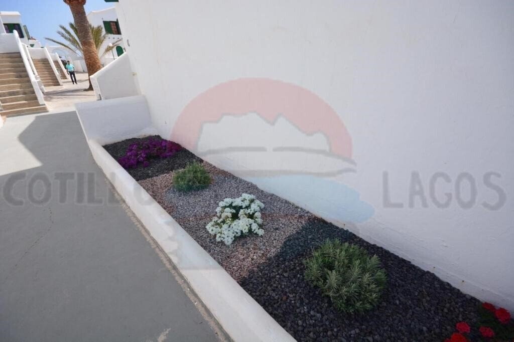 Территория Cotillo Lagos 2*