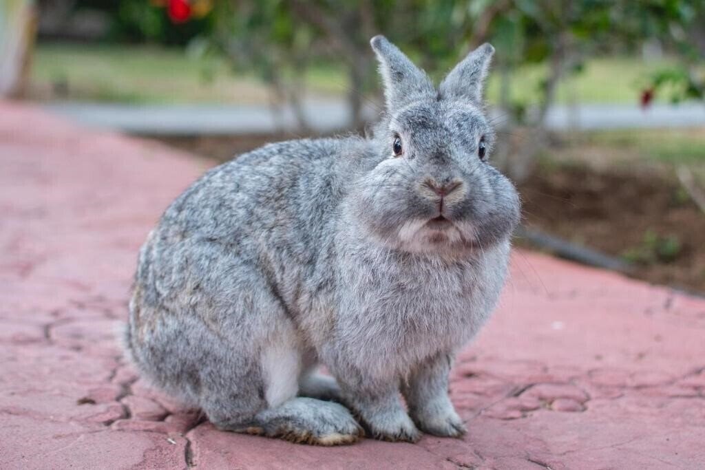 Панорама Hl Miraflor Suites (ex. Miraflor Suites) 4*