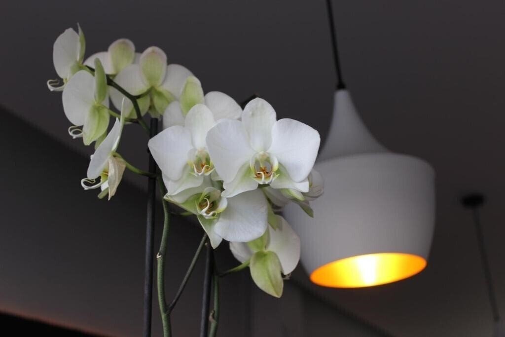 Территория Hostal Balearic 1*