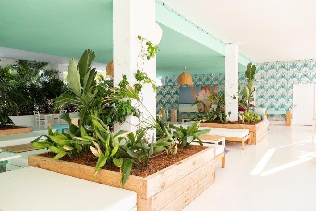 Апартаменты Beach Star Ibiza by Senator (ex. Calas De Ibiza) 3*