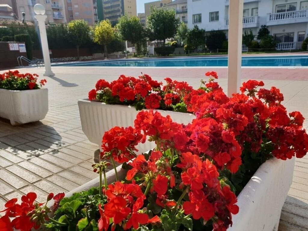 Апартаменти Europa Apartamentos 2*