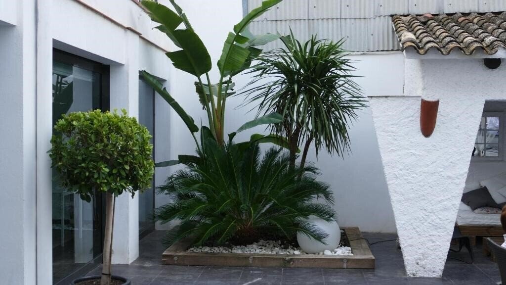 Панорама Salome 1*