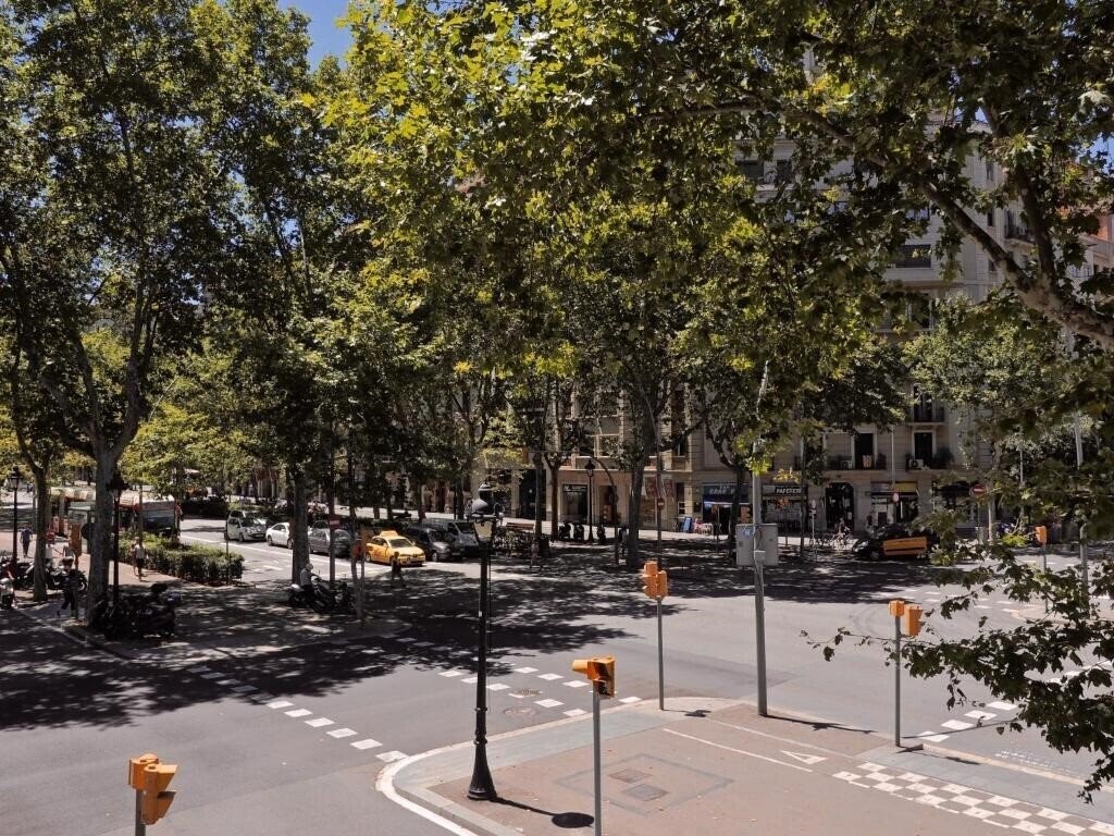 Вид Central Park IІ 3*