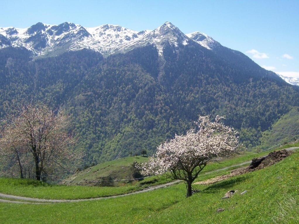 Апартаменты Hotel Tuc Blanc 3*