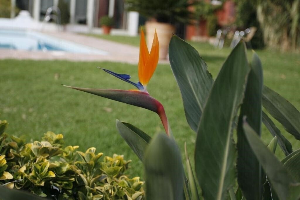 Вид Oasis Cordoba 4*