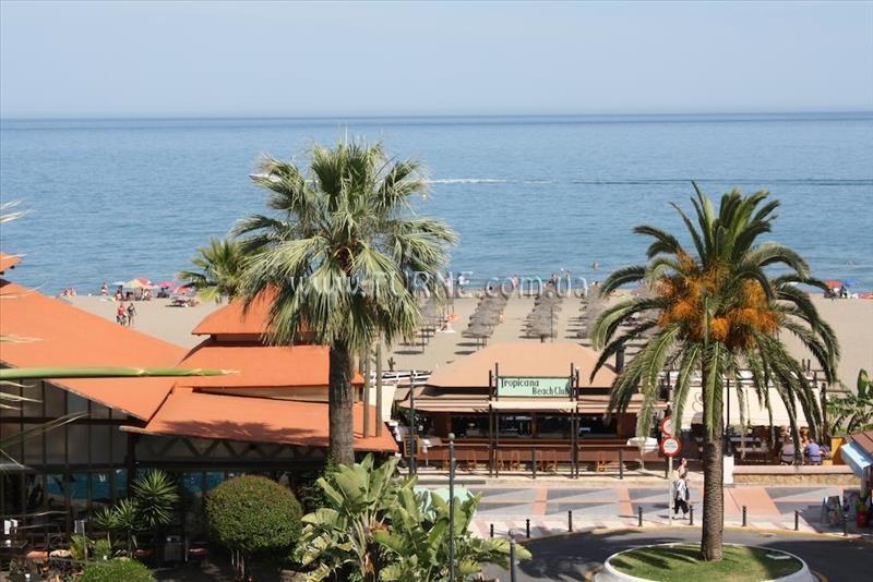 Панорама Ms Tropicana 4*