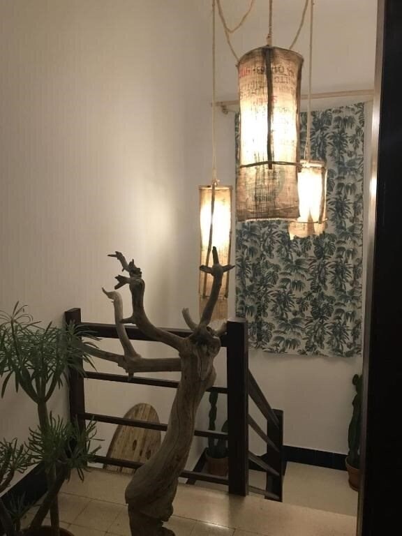 Вид Cactus Host 2*