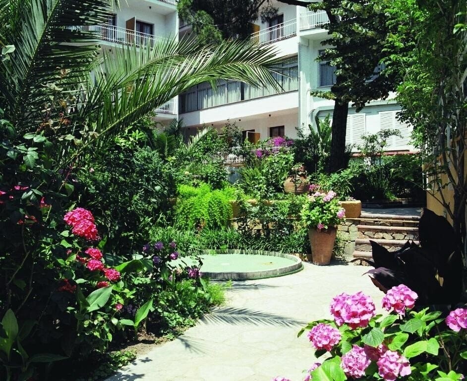 Изображение Clipper 2*