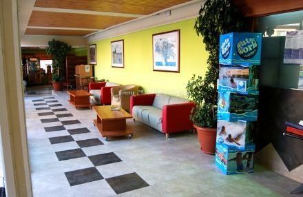 Вид Mediterranean Sand (ex. Dex) 2*