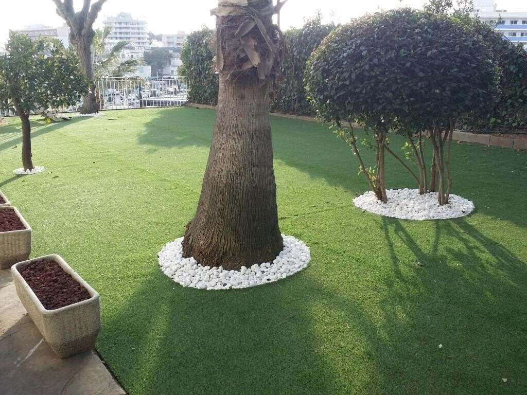 Територія Hotel Bonsol 2*