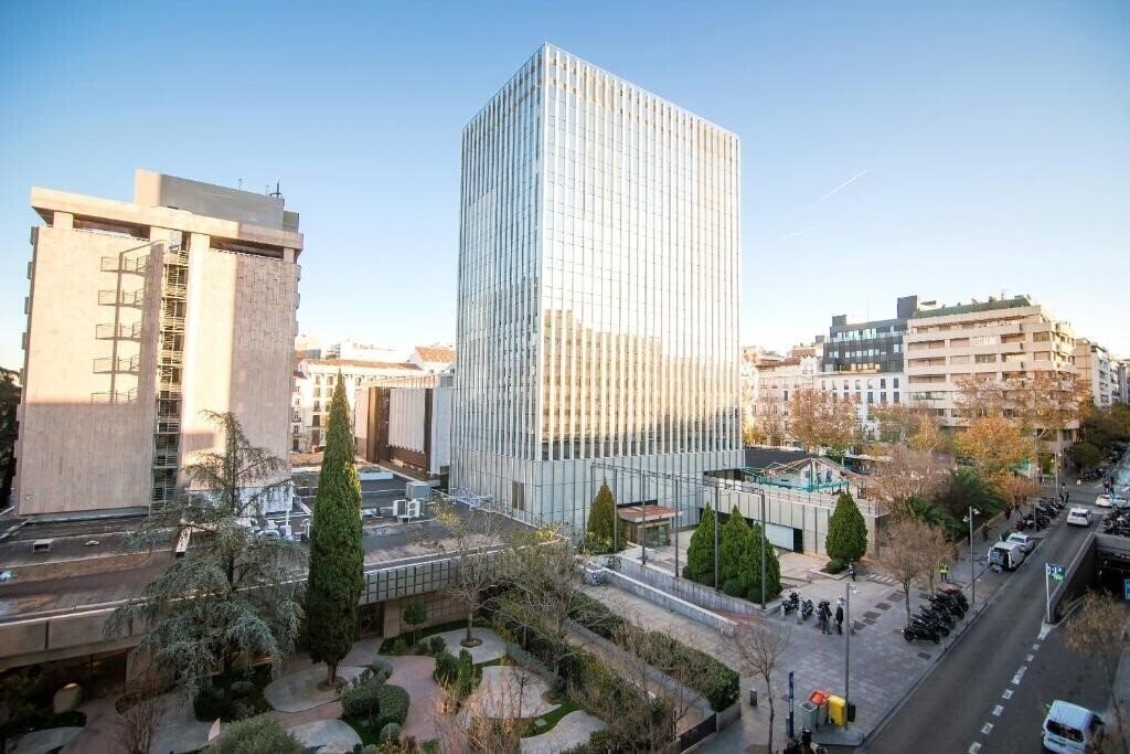 Вид Petit Palace President Castellana 4*