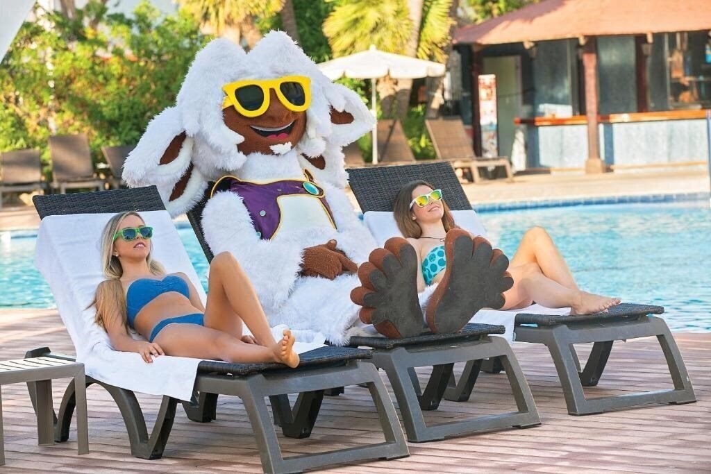 Панорама Sol Katmandu Park & Resort (ex. Sol Magalluf Park) 3*