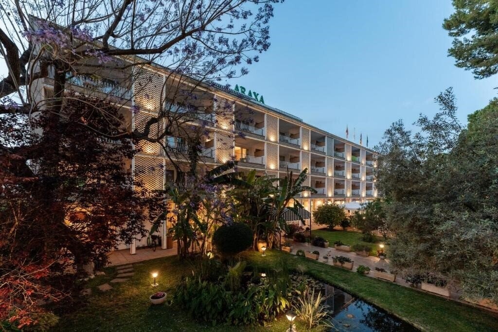 Картинка Araxa 3*