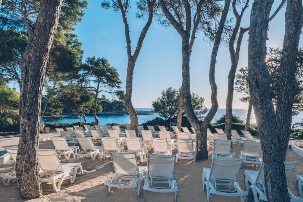 Панорама Iberostar Pinos Park 4*