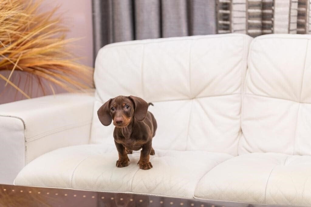 Панорама Torre Azul 4*