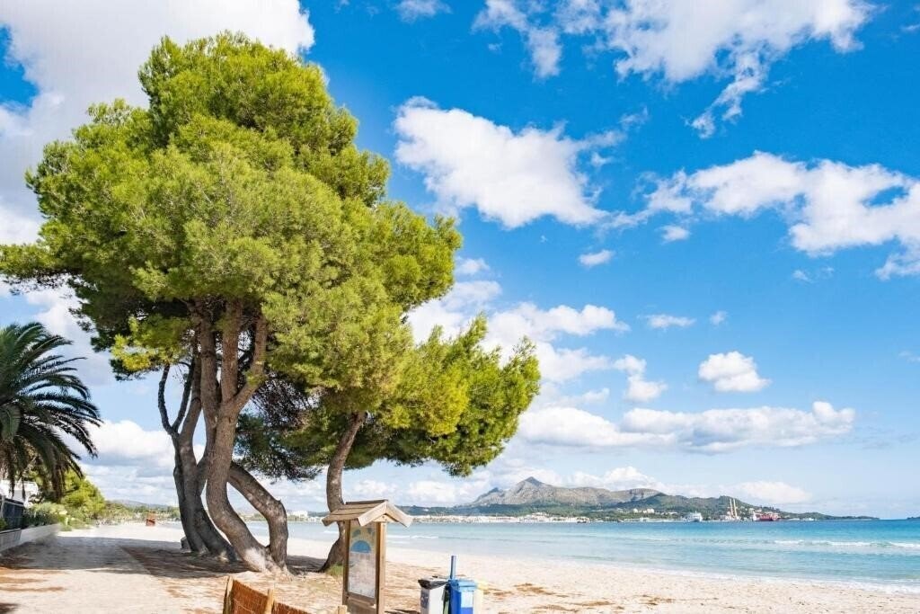 Панорама Platja Daurada 4*