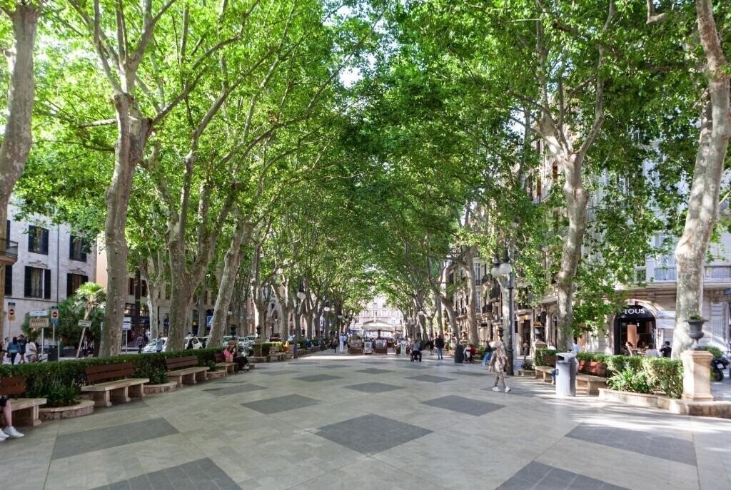 Панорама Nivia Born Boutique Hotel 4*