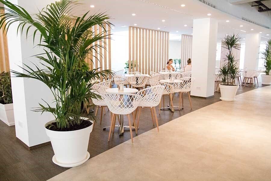 Панорама Planet Blue El Arenal 3*