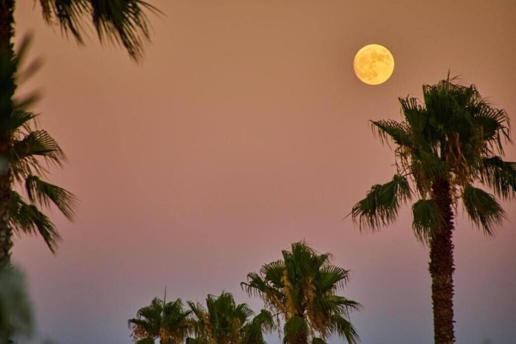 Панорама Virrey Finca Hotel 4*