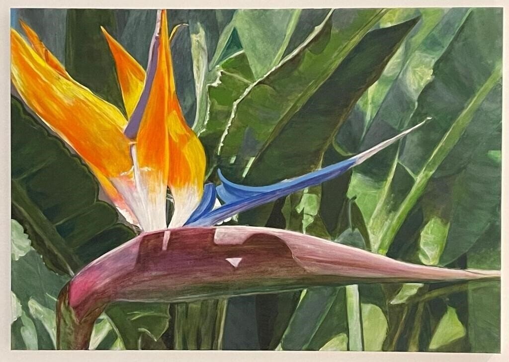 Апартаменты Las Olas 4*